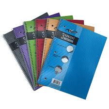 3 subject notebooks (Single)
