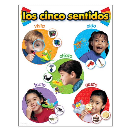 Los Cinco Sentidos (Spanish - Five Senses)