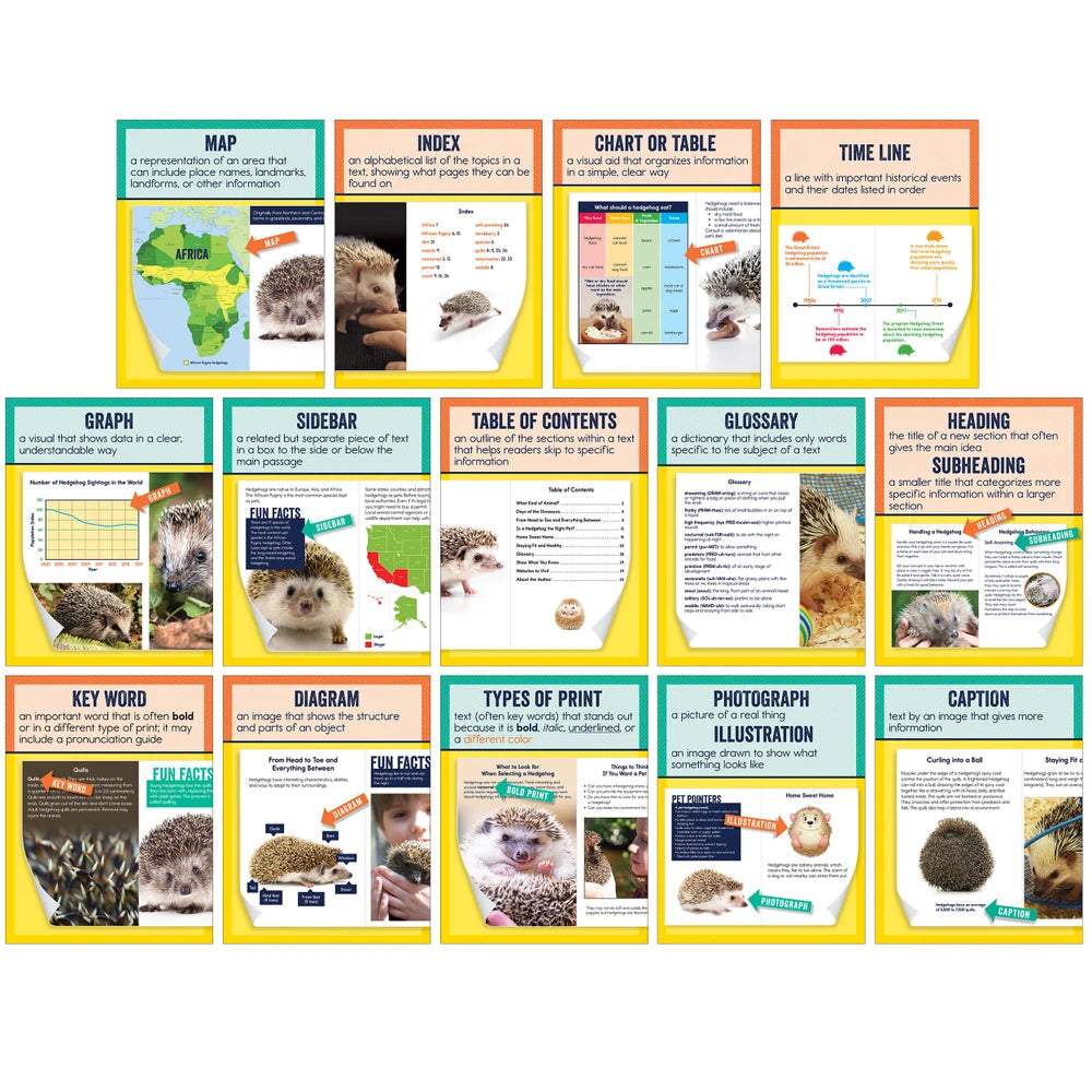 Mini Posters: Nonfiction Text Features Poster Set Grade 1-6