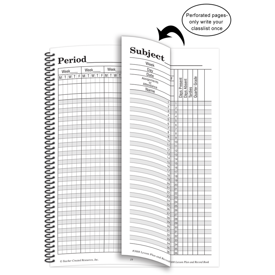 Crazy Circles Lesson Plan & Record Book