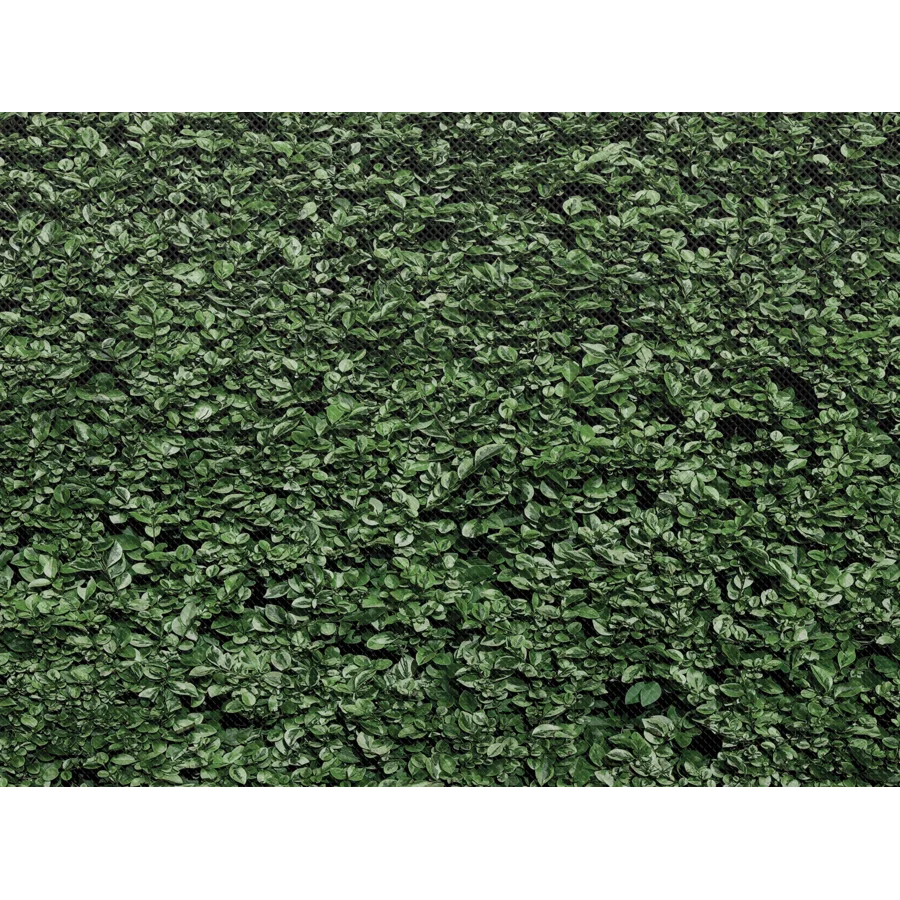 Fun Size Boxwood Better Than Paper Bulletin Board Roll