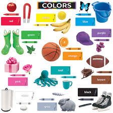 Colors All Around Us Learning Set