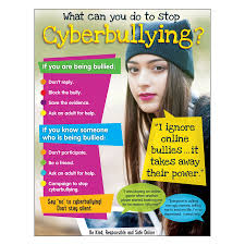 Cyberbullying (Secondary) Learning Chart