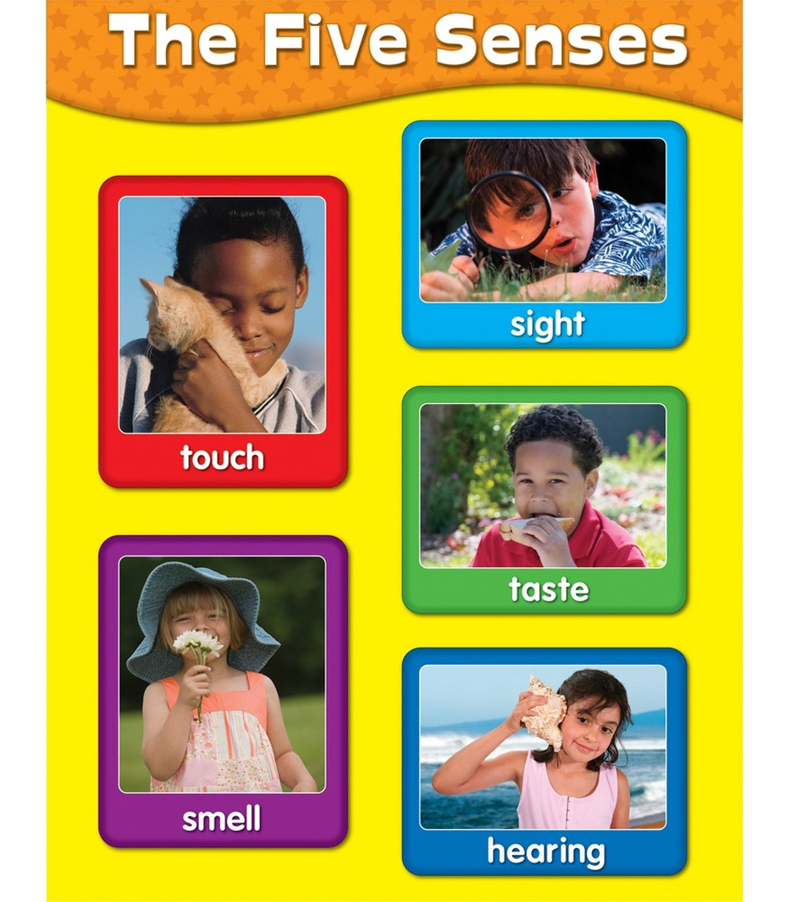 The Five Senses Chart Grade PK-2