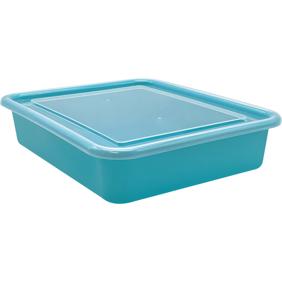 Plastic Letter Tray Lid