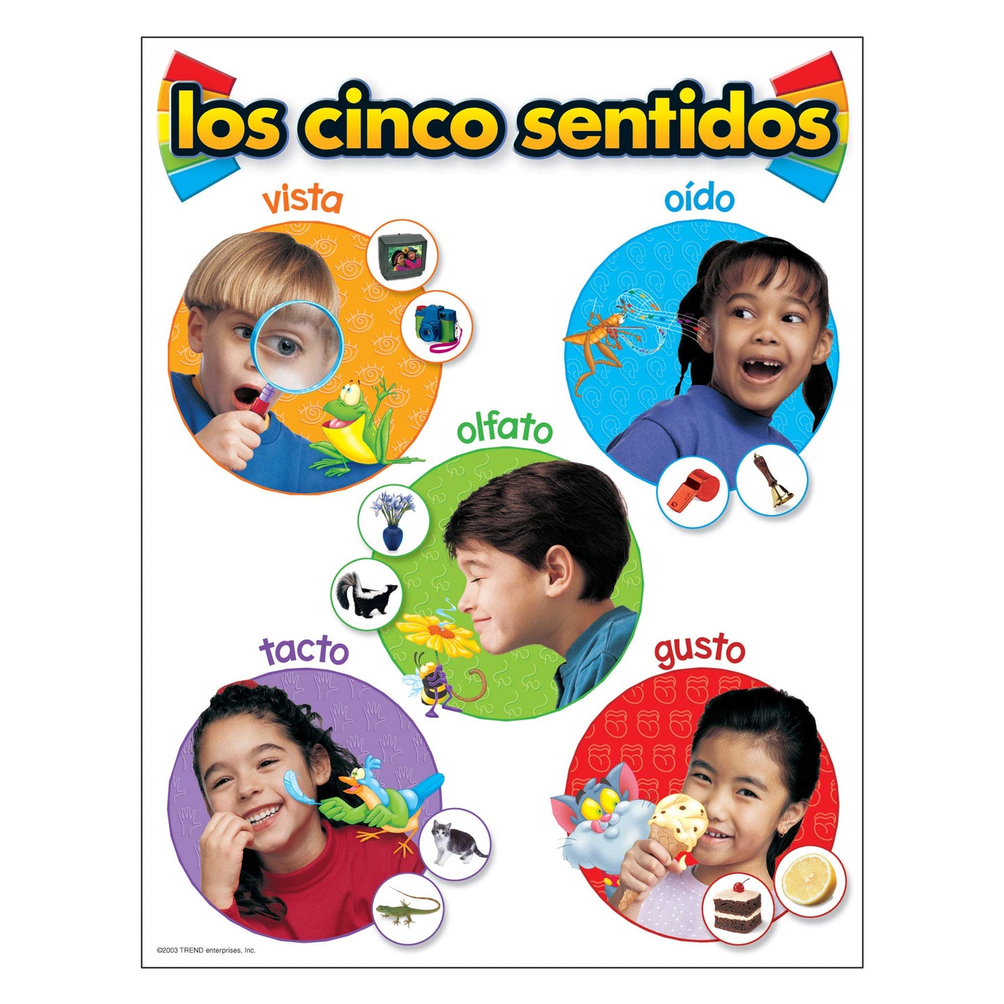 Los Cinco Sentidos (Spanish - Five Senses)