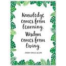 Knowledge comes from learning... Palm Paradise Inspire U Poster