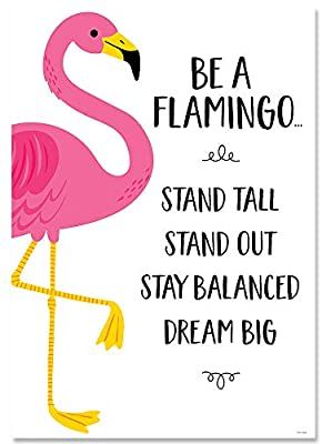 Be A Flamingo.......