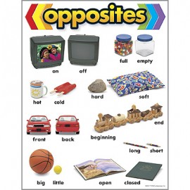 Opposites Learning Chart