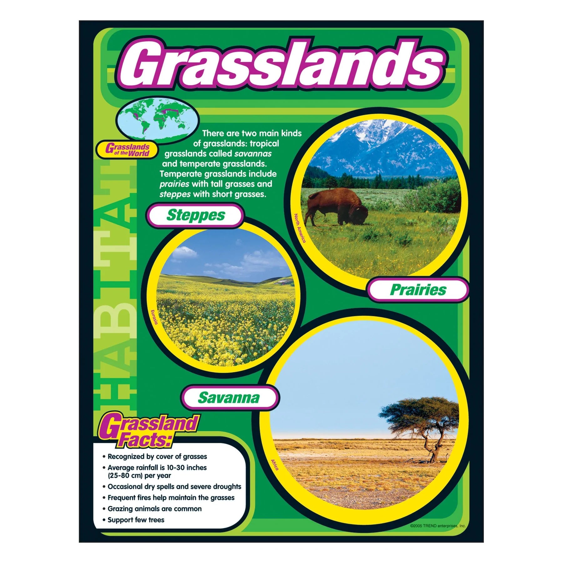 Grasslands Learning Chart – The Teacher's Store