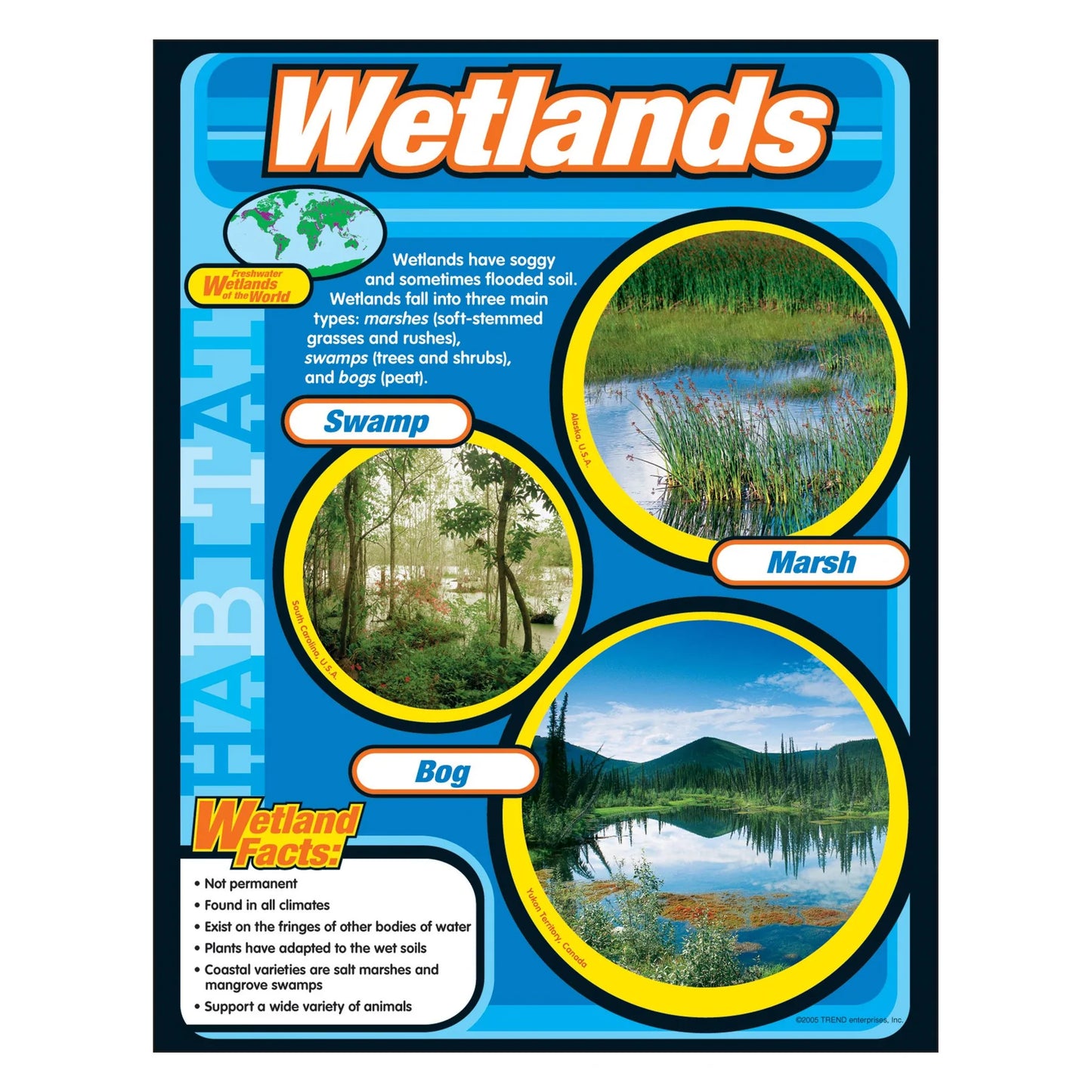 Wetlands Learning Chart