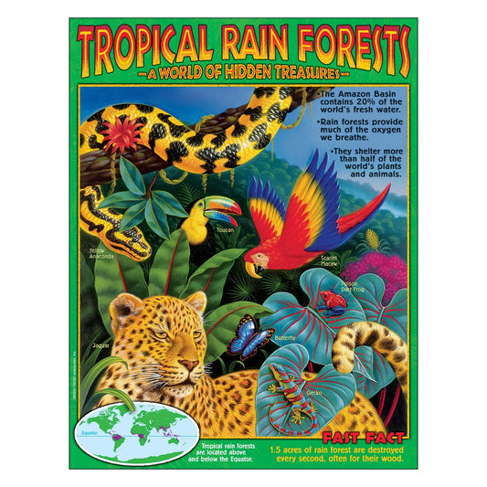 Tropical Rain Forests Learning Chart
