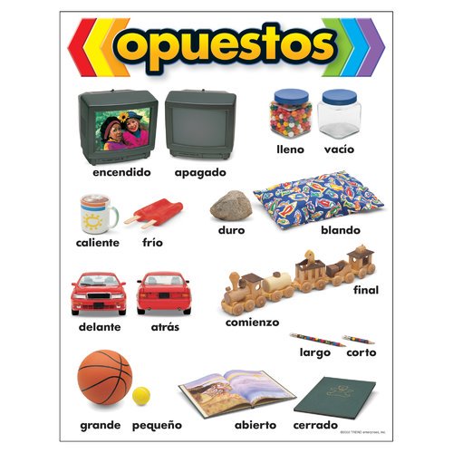 Opuestos Learning Chart