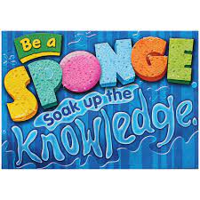 Be a sponge. Soak up the knowledge. ARGUS® Poster