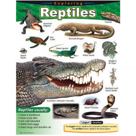 Exploring Reptiles Learning Chart